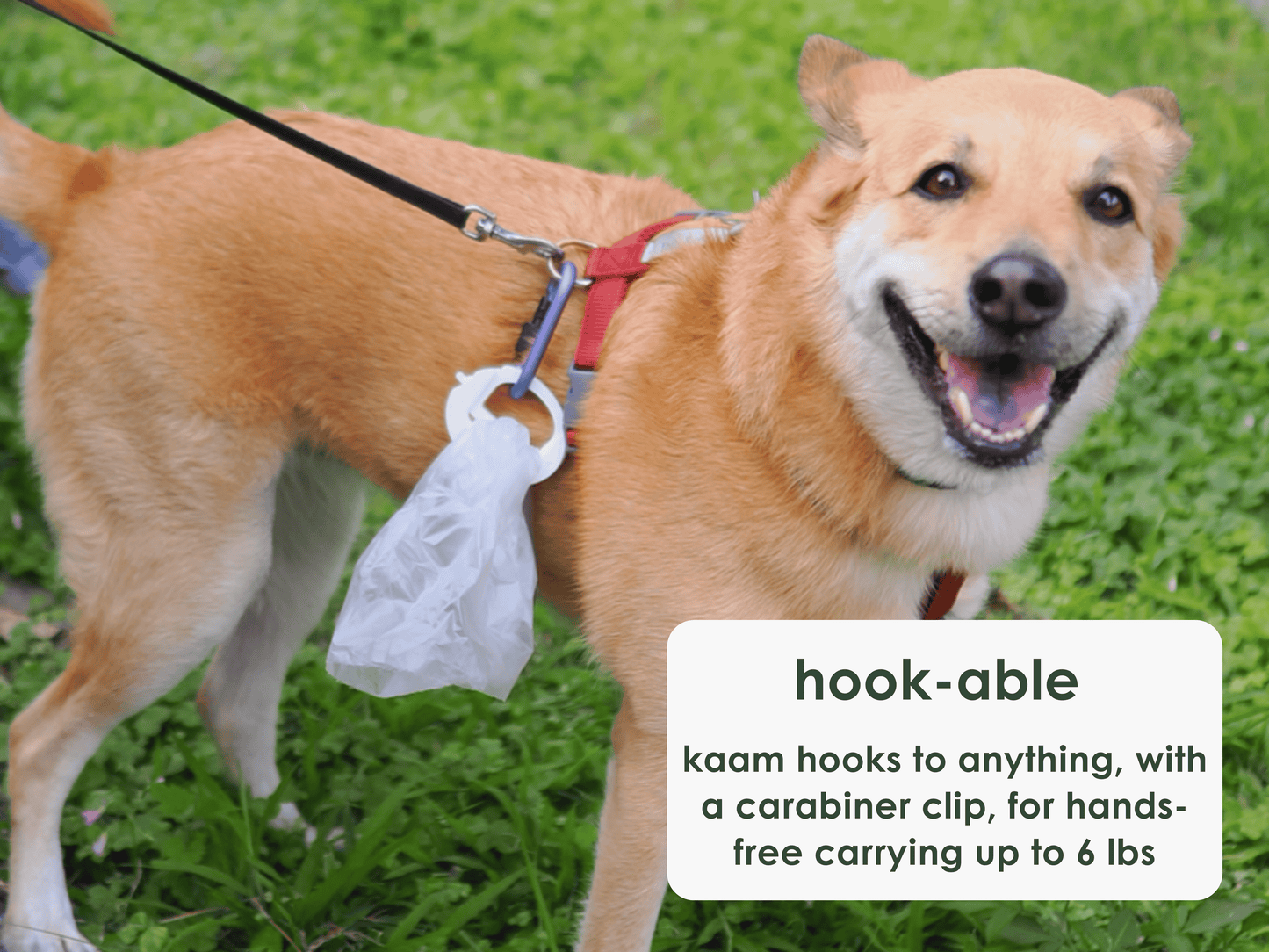 kaam Bag Clip - Rosy Cheeks